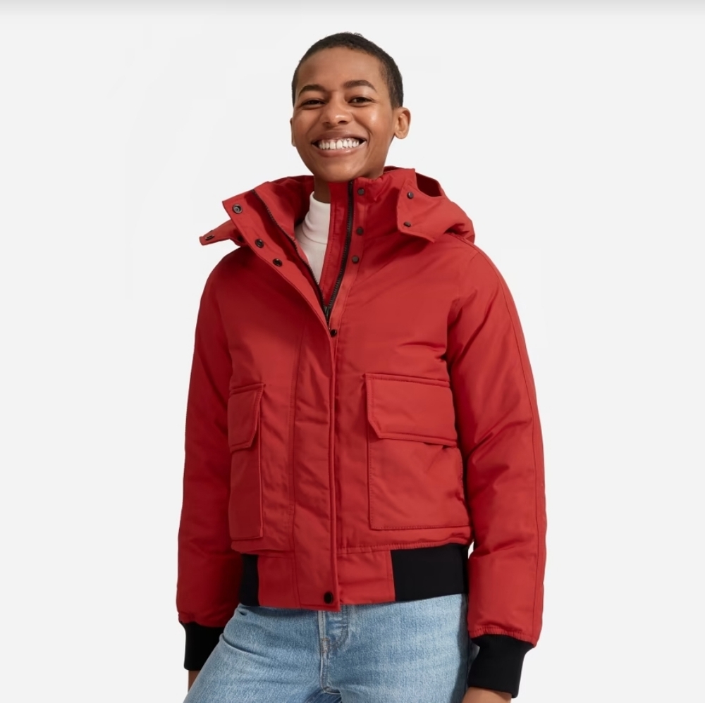 Everlane down bomber jacket